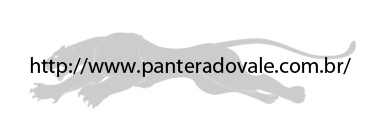 Pantera do Vale
