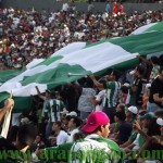 Arapongas vai em busca de mais uma classificação - Foto Julio Veronez - Arapongao.com