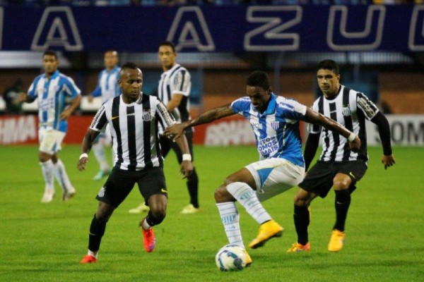 Leão empatou na primeira rodada. Foto: Jamira Furlani/Site Oficial do Avaí